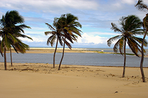 Passeio Passeio Delta do São Francisco incluindo Penedo, passeio de barco e almoço