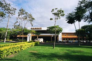 Carimã