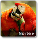 Veja a nossa sugestão de roteiros de viagem para o norte do Brasil.