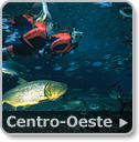 Quer viajar para o centro-oeste do Brasil, veja nossa seleção de roteiros.