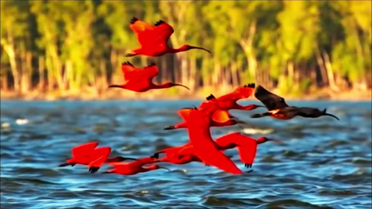 Brazil travel experiences crafted by Blumar