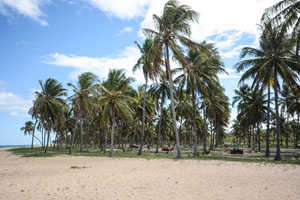 praia do gunga