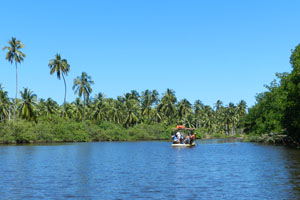 rio niquim