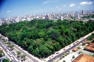 bosque rodrigues alves