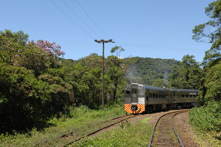  Curitiba, Serra do Mar - Morretes e Ilha do Mel.