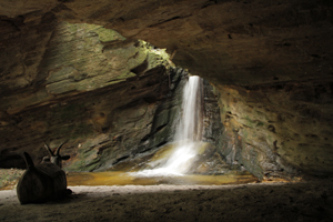 swallow cave