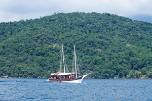 Passeio de Barco