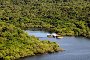 amazon aerial