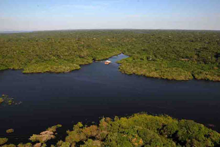 Reserva Terra Floresta / Manaus