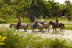 Pantanal