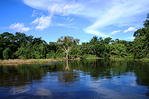 Roteiro Pantanal Sul - Caiman  - Pacote 4 Dias e 3 Noites