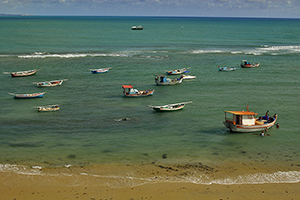 pipa barcos