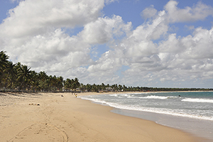 praia de maracaipe6