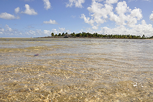 praia de maracaipe8