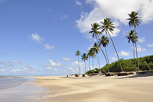 praia de maracaipe9