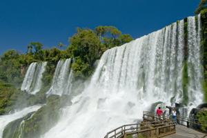 salto bossetti