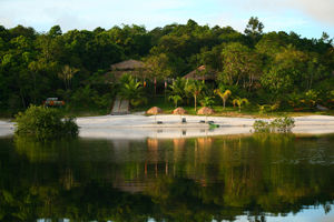 Hotel Amazon Ecopark Jungle Lodge 