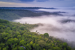 Hotel Amazon Emotions Jungle Lodge 