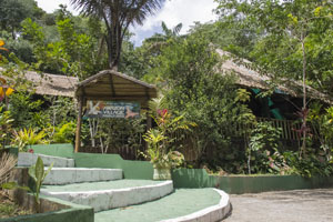 Hotel Amazon Village 