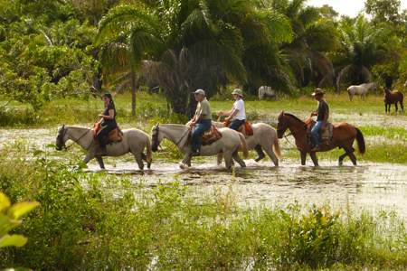 Pantanal (passeio a cavalo, caminhada)