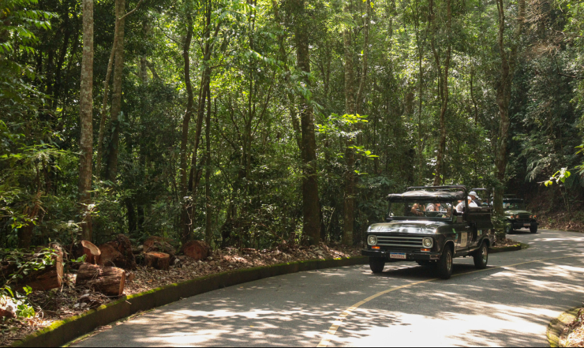 Tijuca Forest Jeep Tour: A Unique Experience with Blumar DMC