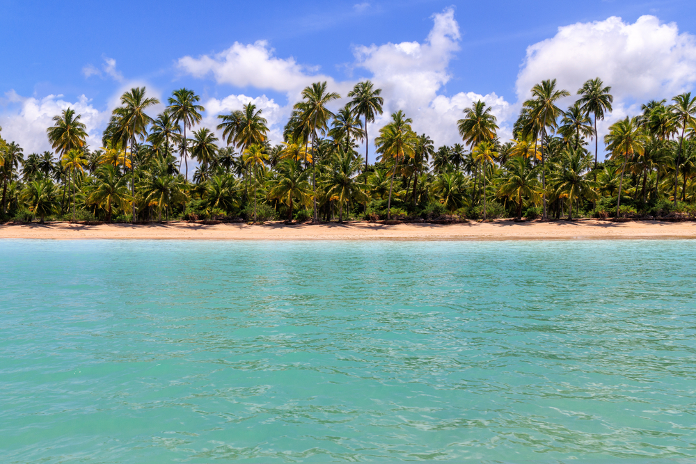 Summer 2026: The Most Popular Destination in Brazil’s Northeast