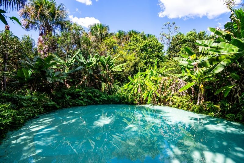 Top Adventure Experiences in Brazil: Discover Unforgettable Thrills in Nature