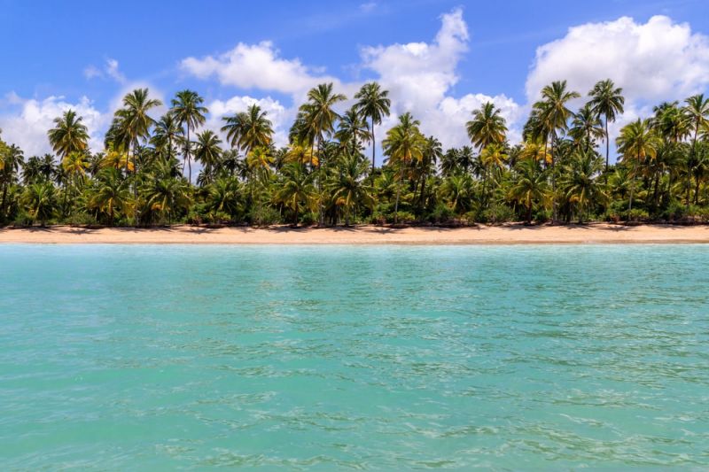 Best Family-Friendly Destinations in Northeast Brazil