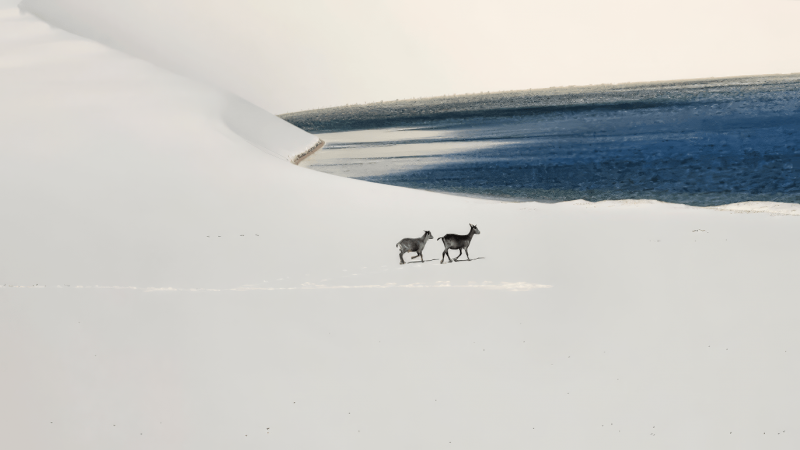 Discover the Emendadas Lagoon: The Hidden Gem of the Lençóis Maranhenses