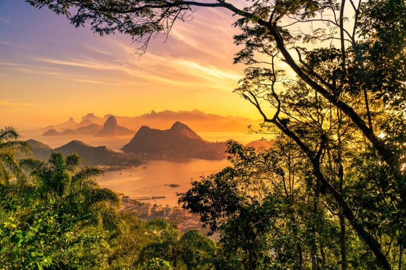 Combat Climate Change - Rio de Janeiro