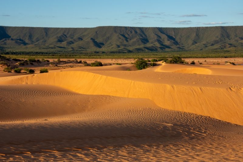 Jalapão Dunes