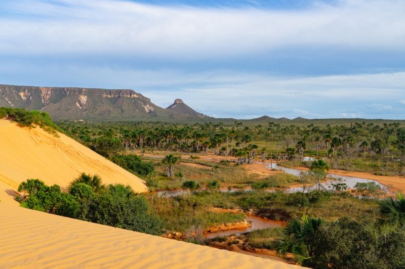 Jalapão Dunes