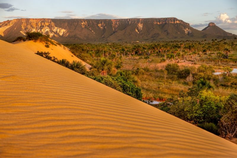 Jalapão Dunes