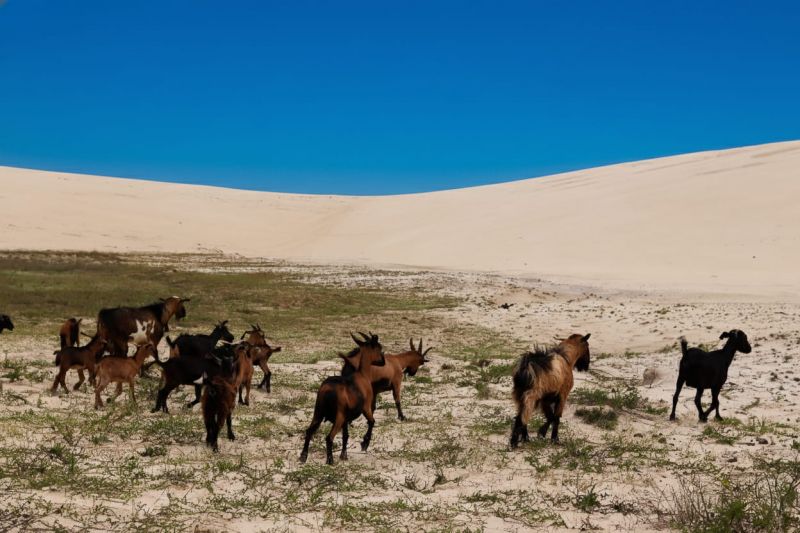 Atins Lençóis Maranhenses