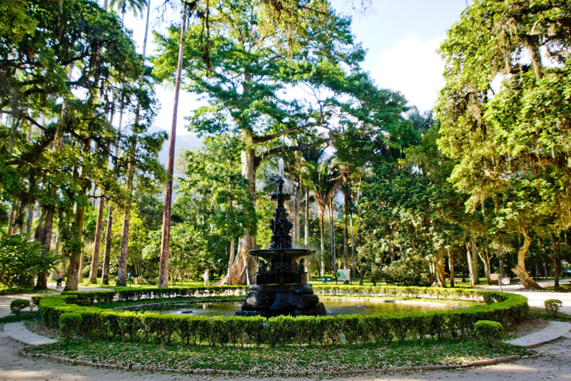 What to Visit on the Same Day as Christ the Redeemer - Botanical Garden
