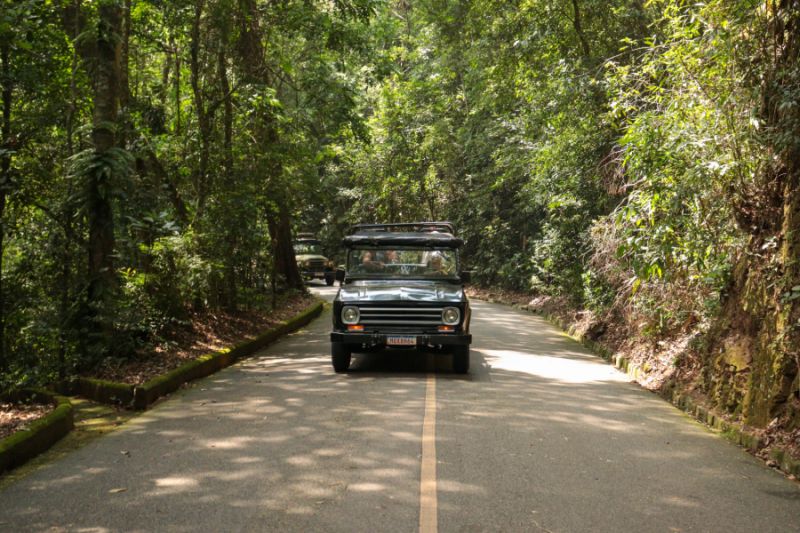 Tijuca Forest Jeep Tour