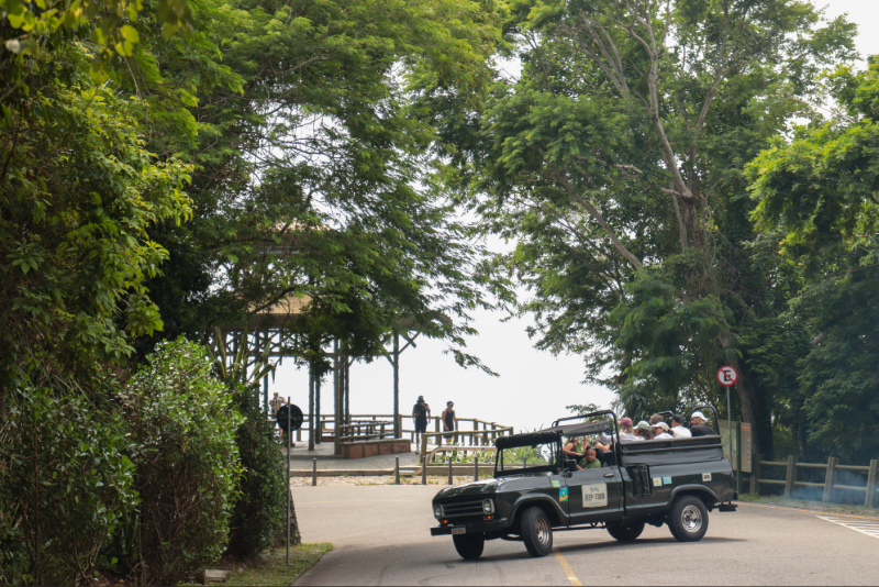 Tijuca Forest Jeep Tour