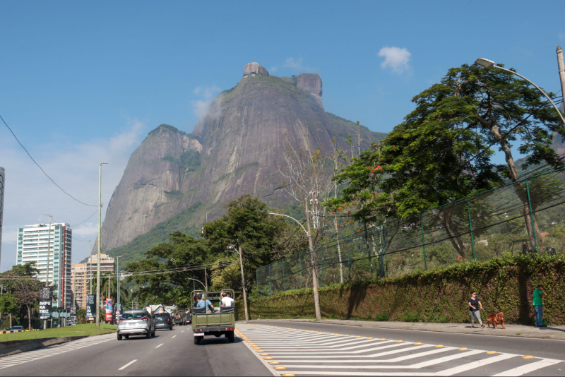 Tijuca Forest Jeep Tour