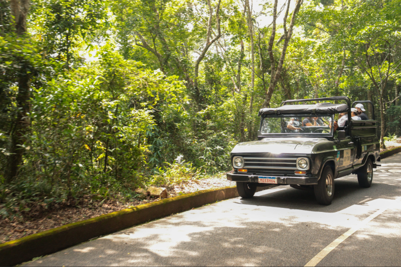 Tijuca Forest Jeep Tour