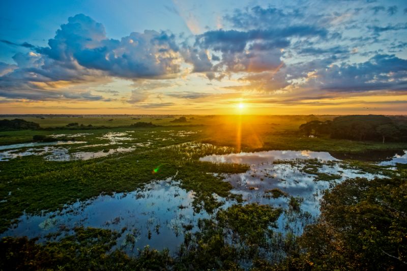 Pantanal, the Largest Wetland on the Planet