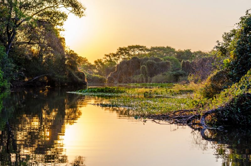 Pantanal, the Largest Wetland on the Planet