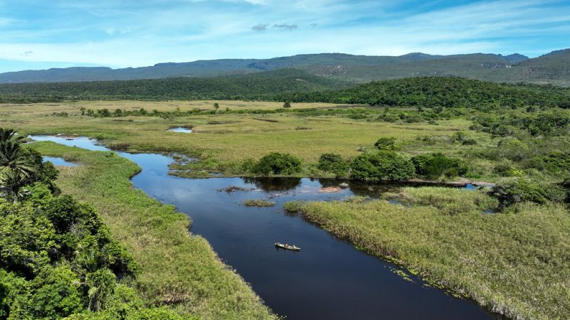 When to Visit the Pantanal