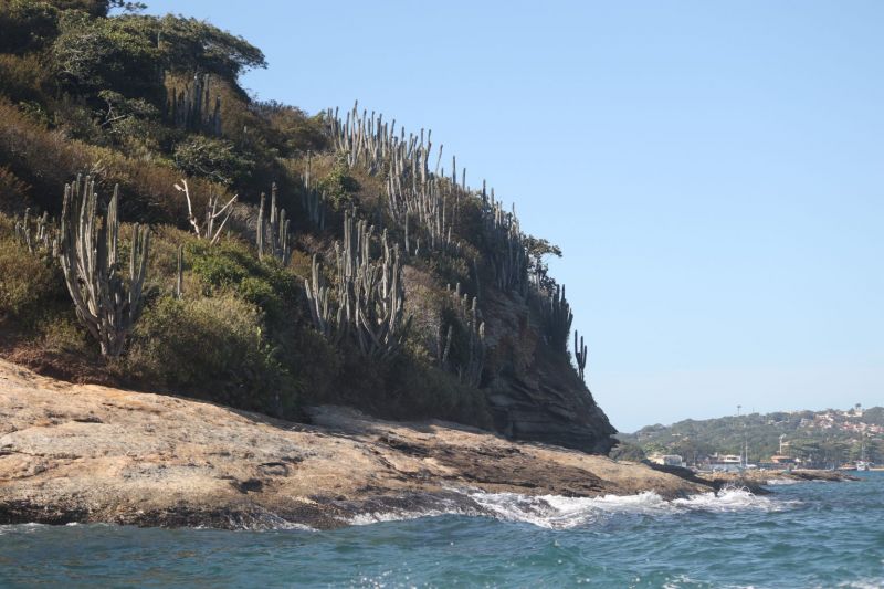 Boat Tour in Búzios – The Fluminense Coast Like You've Never Seen