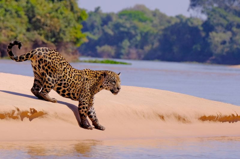 Natural Parks Make Brazil One of the World's Leading Ecotourism Destinations