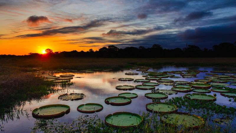 Natural Parks Make Brazil One of the World's Leading Ecotourism Destinations