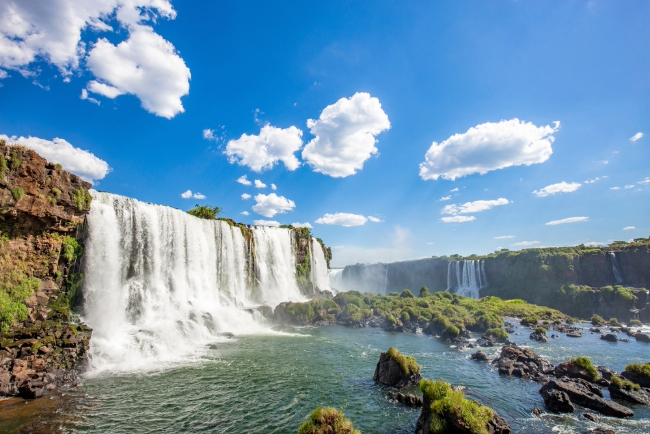 Photo: Paulo Nabas / Shutterstock.com