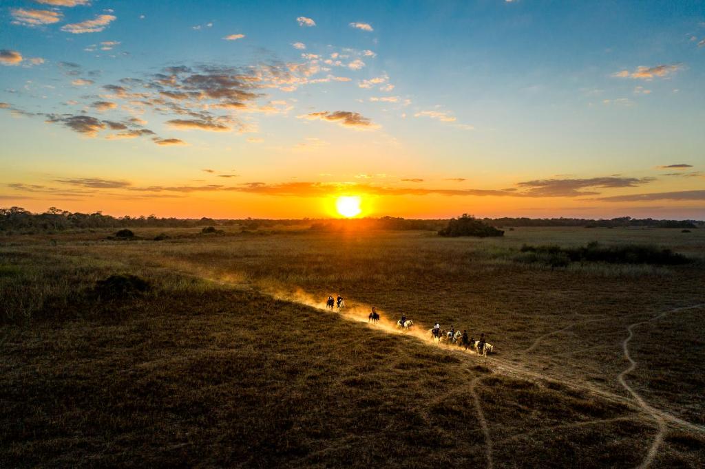 Photo: Disclousure / Araras Ecolodge Pantanal