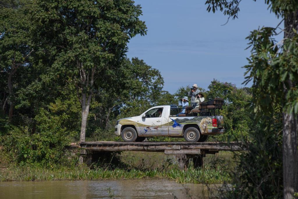 Photo: Disclousure / Araras Ecolodge Pantanal