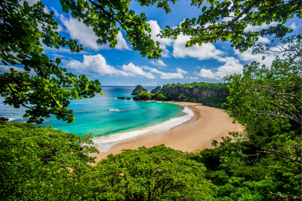 Photo: Andre Maceira / Shutterstock.com