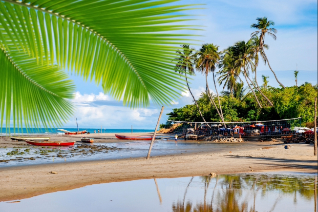 Photo: rocharibeiro / Shutterstock.com